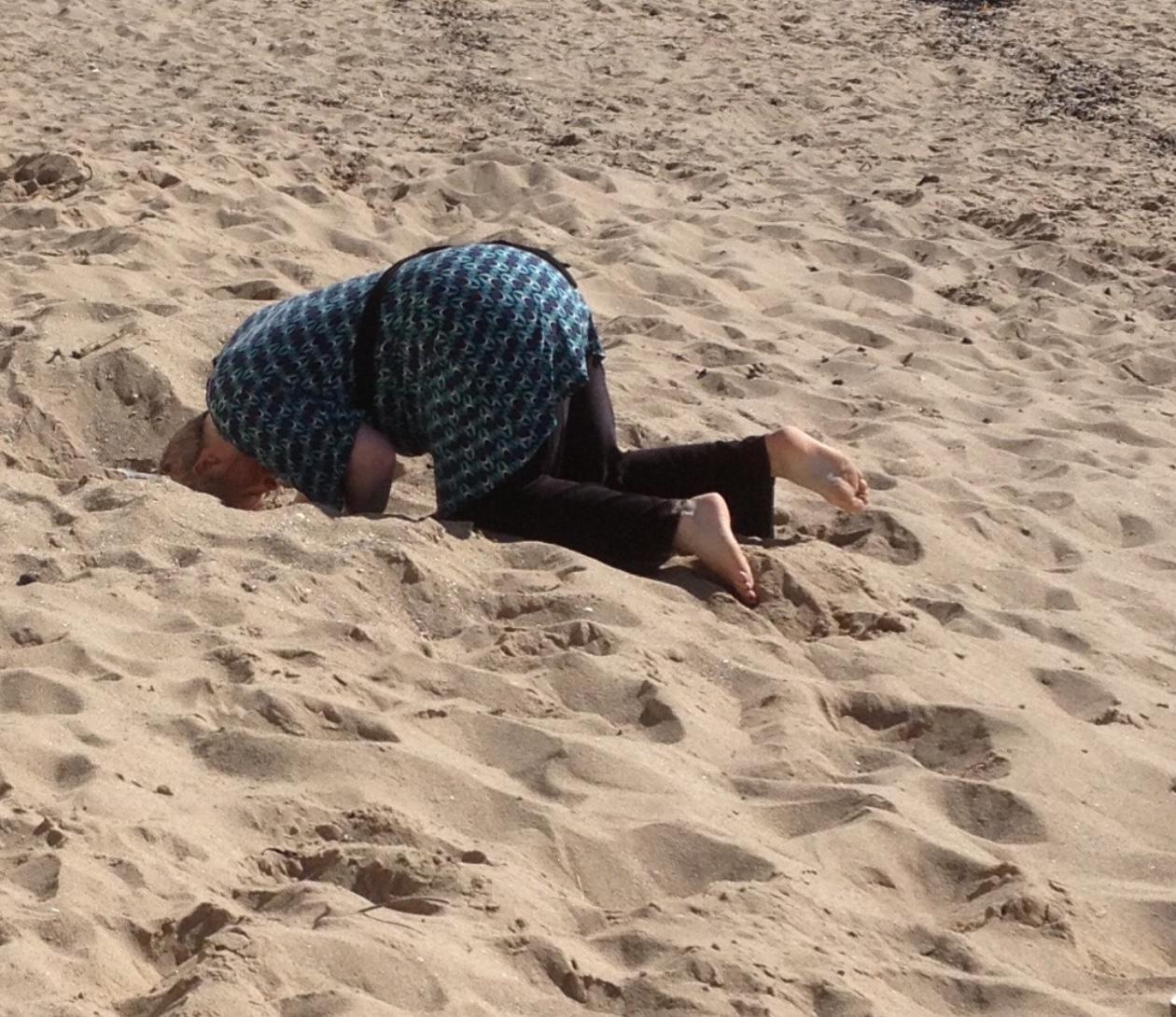 Landscaping Your Life Is their head in the sand?