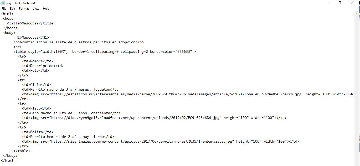 Como Programar HTML,Como crear página WEB, HTML para principiantes