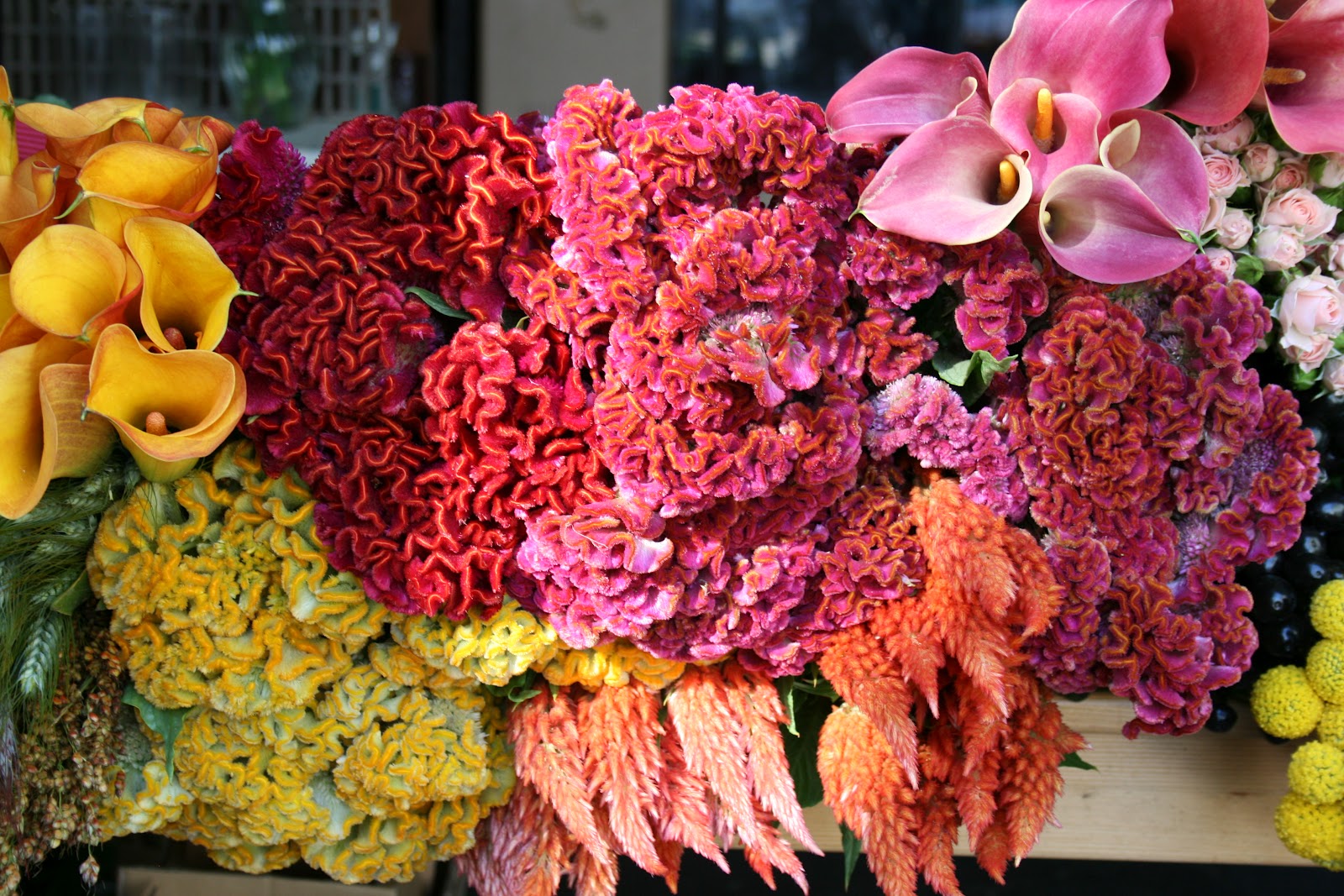 Download September 24 color palette | Juniper Flowers
