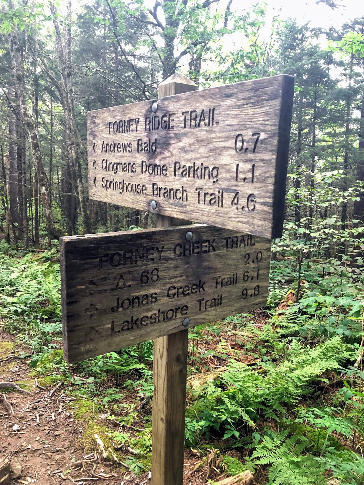 900 miles: Forney Ridge - Springhouse Branch - Forney Creek - Clingmans ...