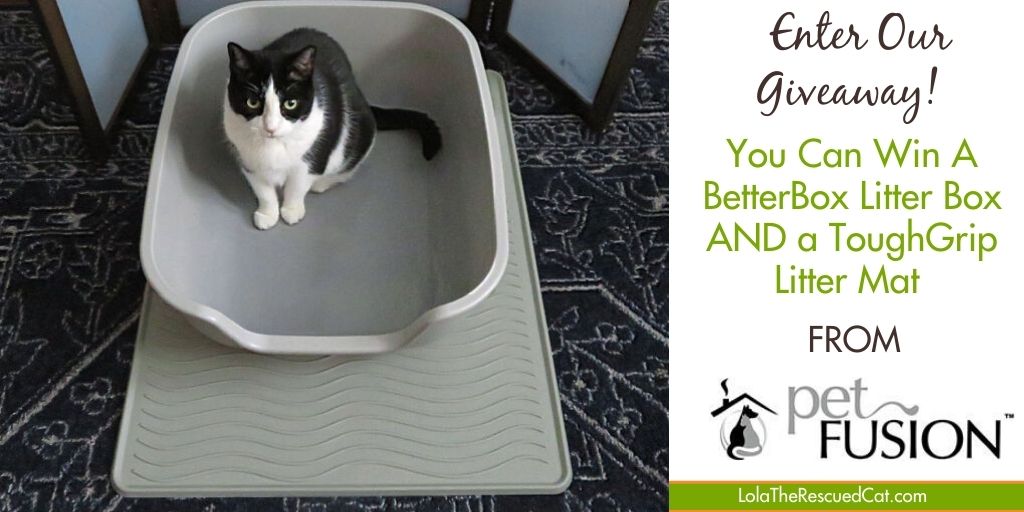 PetFusion BetterBox Litter Box and ToughGrip Litter Mat Giveaway