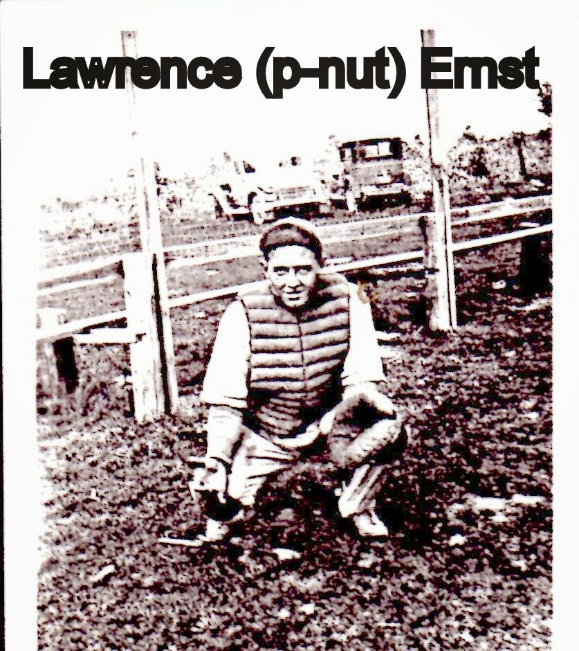 Boerger Pictorial History Ft. Loramie Baseball Team