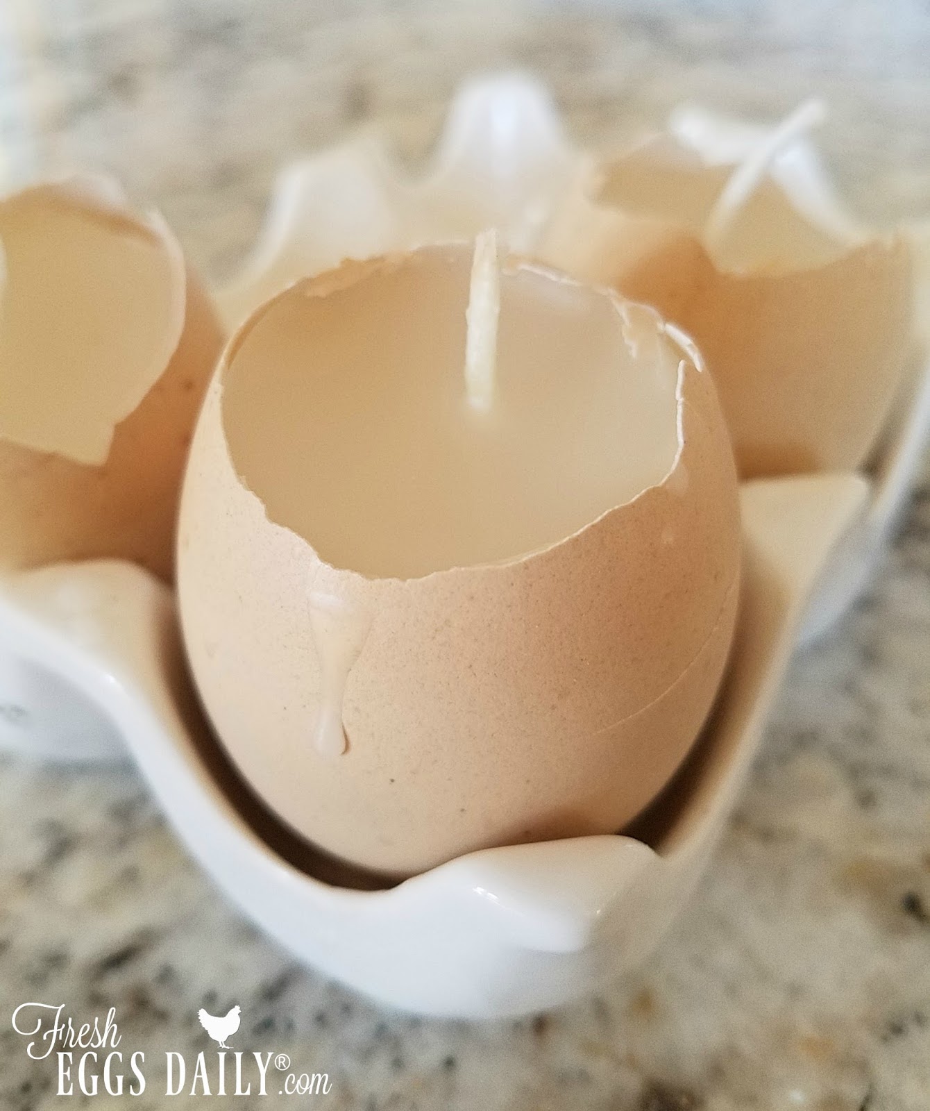 DIY Beeswax Candles in Eggshell Holders Fresh Eggs Daily®