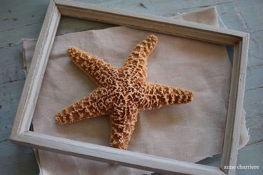 www.annecharriere.com, DIY estrellas de mar, marcos vacíos, 