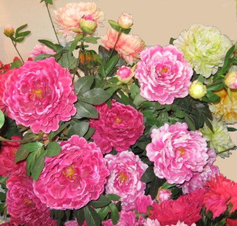 mi vida en este blog: junio 2011