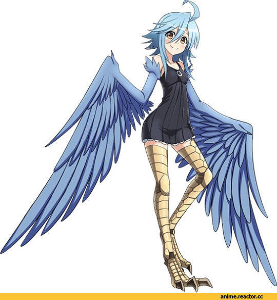 Monster musume гарпия. Жизнь с девушкой монстром девушка птица рупия. Monster musume harpy. Monster musume гарпия. Папи monster musume.