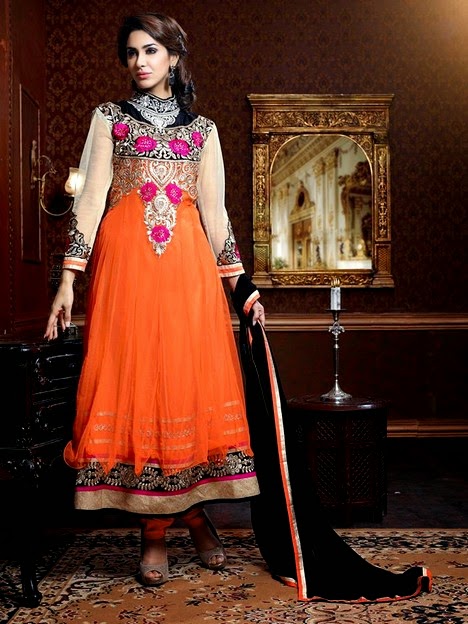 Neeza Indian Party Wear Dresses 2014 | New Concept of Indian Party Wear ...