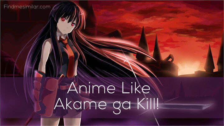 Anime Like Akame ga Kill