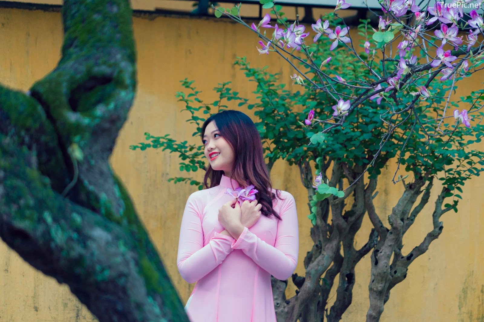 Dreamy purple of Ao Dai - Gentle and Soft of beautiful girls - Vietnamese traditional dress