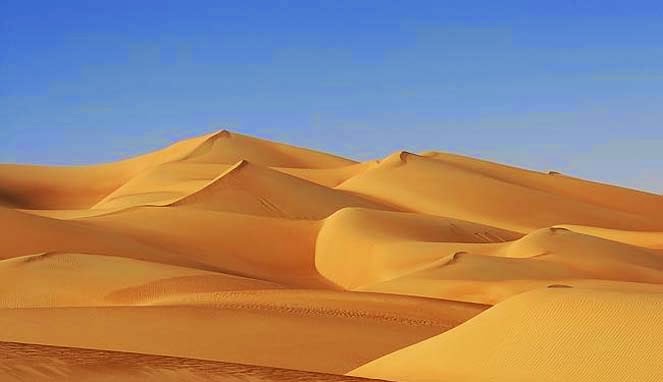 Siapa sangka di padang pasir ini terdapat surga dunia yang tersembunyi