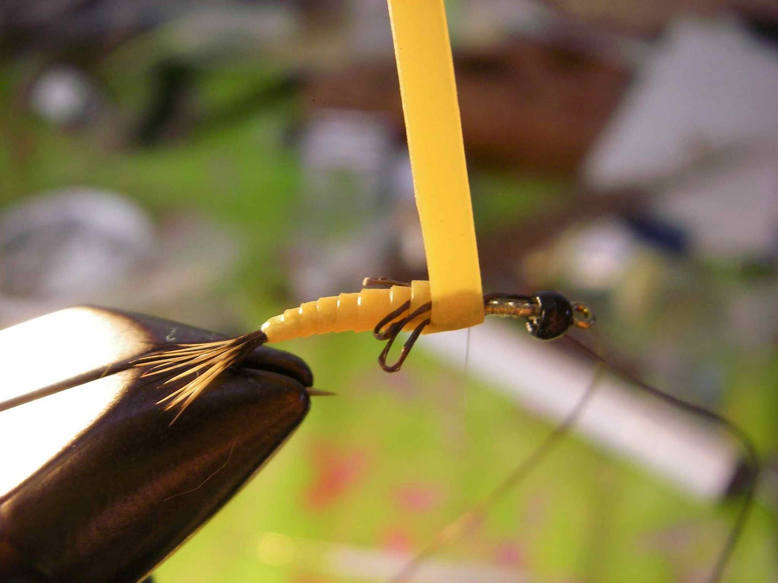 TROUT TALES Swimming MayFly Nymphs