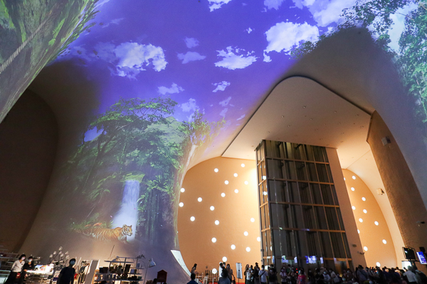 台中國家歌劇院光影秀「光之曲幕」曲牆變成星空、海底世界和森林