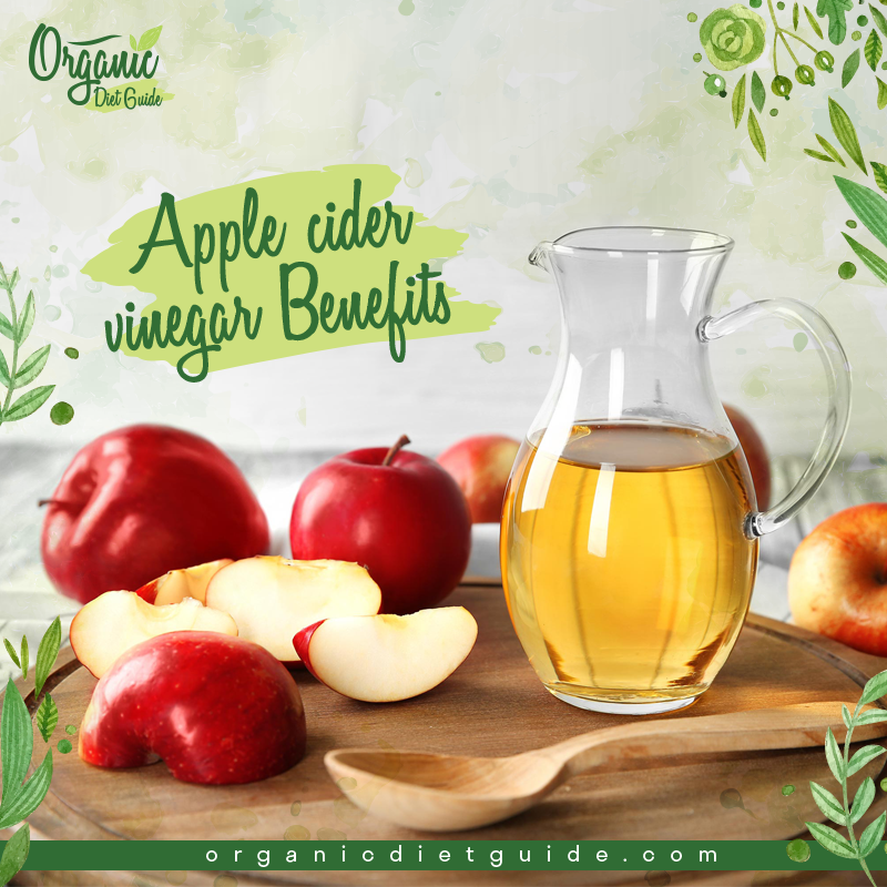 Apple Cider Vinegar Diet Apple Cider Vinegar Benefits organicdietguide’s blog