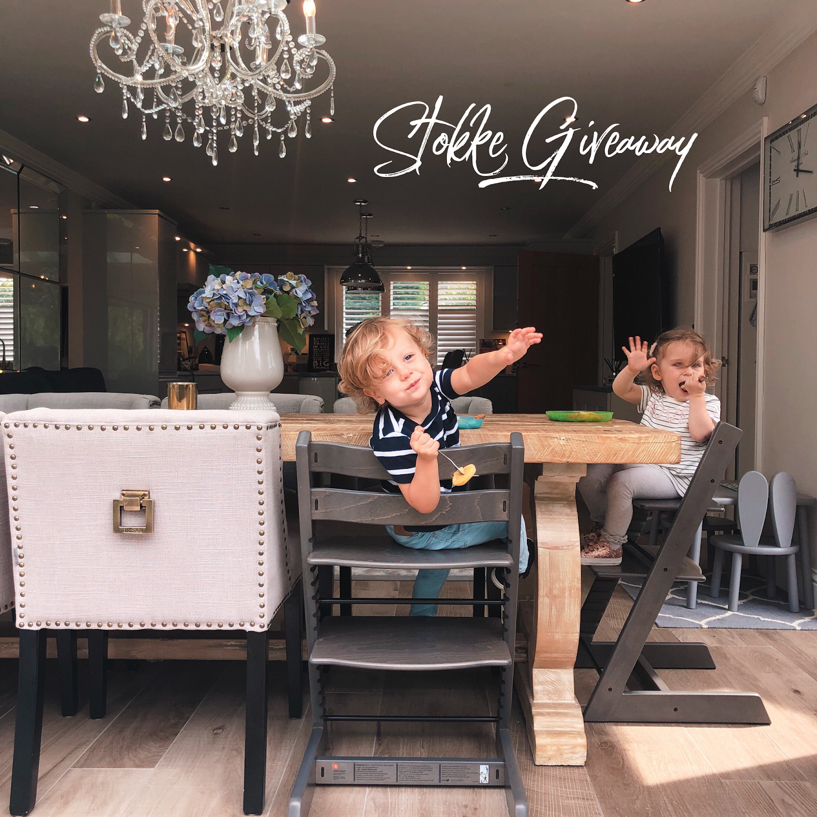 stokke tripp trapp adults