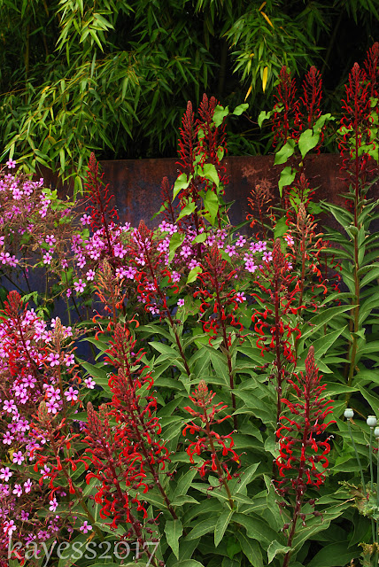 Throwback Thursday-Linda Cochrans' Garden