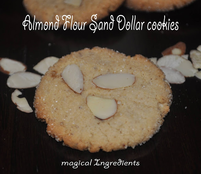 Almond Flour Sanddollar Cookies Magical Ingredients