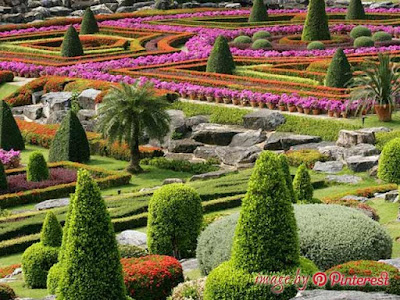 how to design a botanical garden how to design a botanical garden