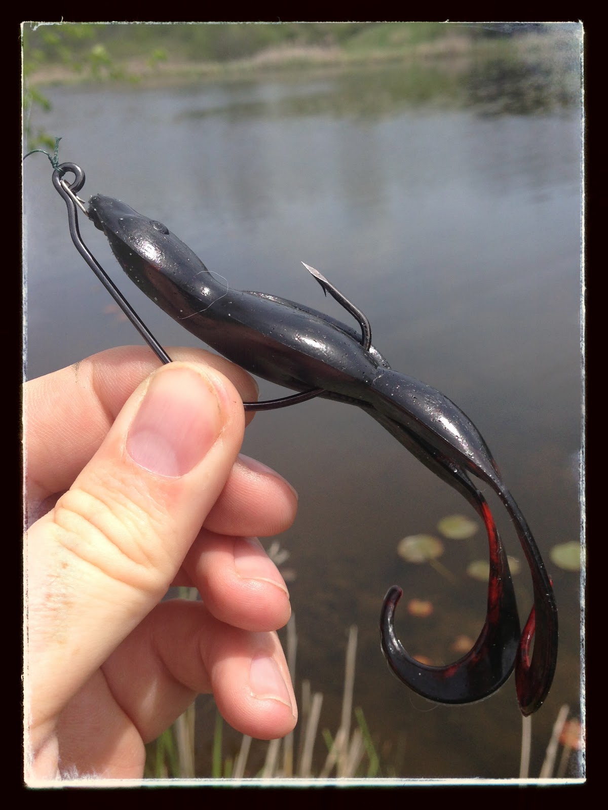 Bass Junkies Frog Pond: Spike-It Bog Frog Review