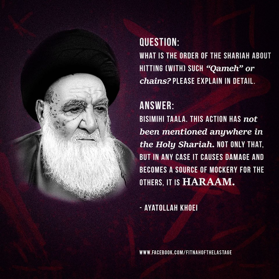 Shia Muslims Shia Muslims Ayatollah Khoei r a Ayatollah Esfahani shia-muslims-shia-muslims-ayatollah-khoei-r-a-ayatollah-esfahani