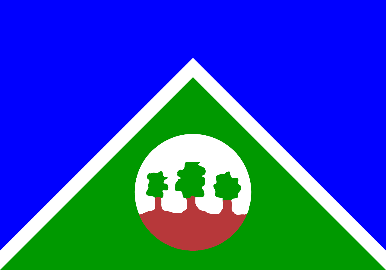 Bandeira de Alta Floresta D'Oeste - RO