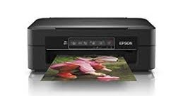 Download Printer Driver: Epson XP-215 Driver 7/8/10