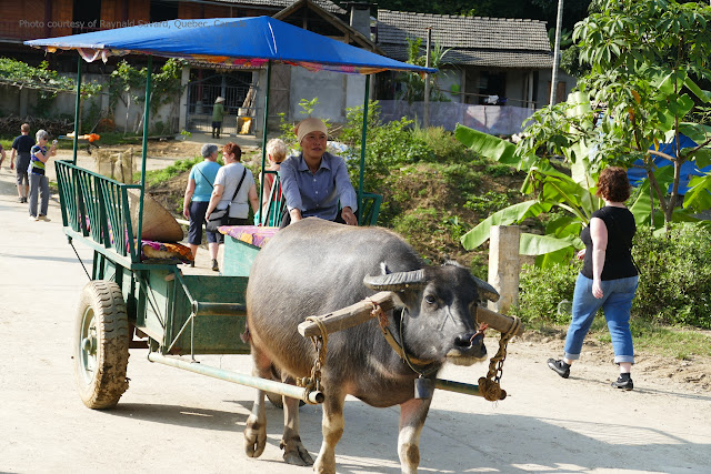 Khám phá chợ phiên Bắc Hà và đường quê tây bắc