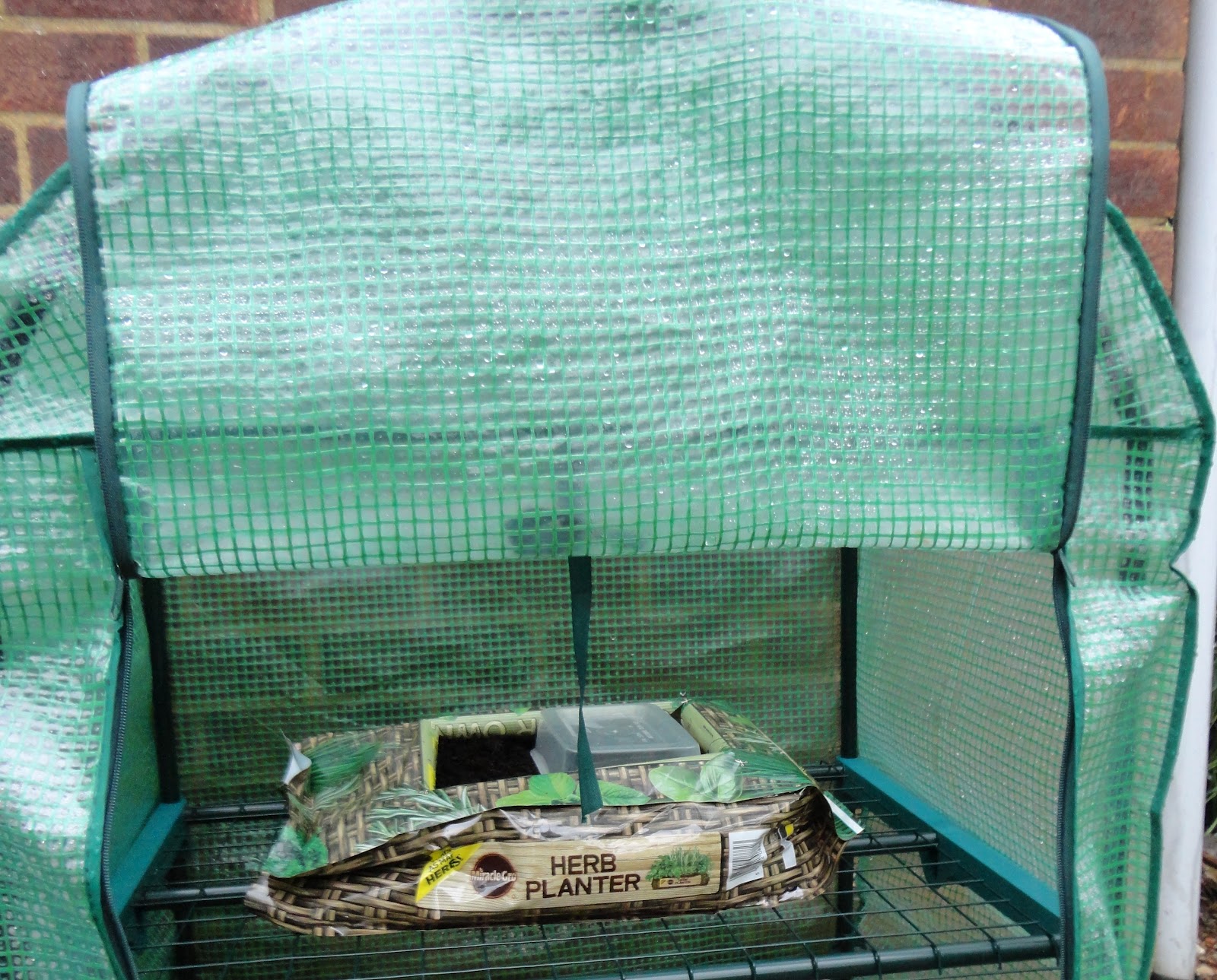 A Healthy Rainy Jubilee Bank Holiday