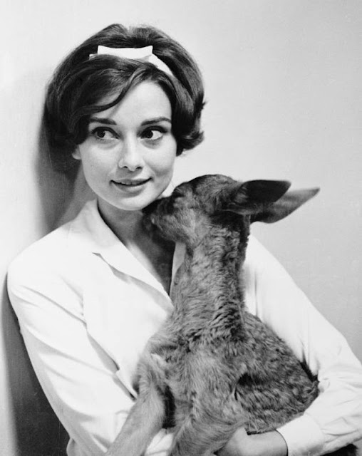 Las mascotas de Audrey Hepburn