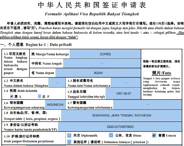 formulir visa china 1.1-1.10