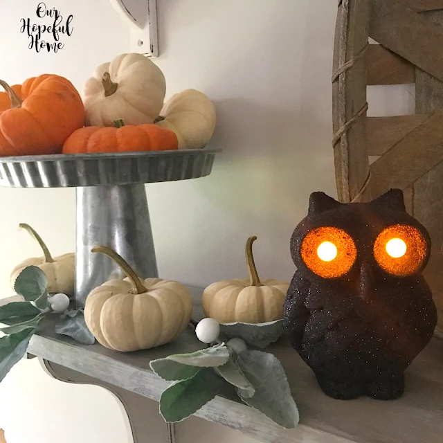 baby boo pumpkins lambs ear black glitter Halloween owl decor