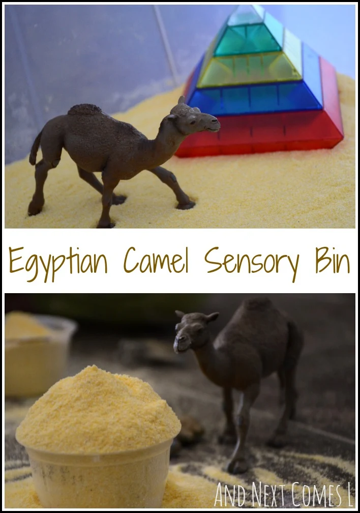 Super simple Egyptian desert sensory bin with camels from And Next Comes L