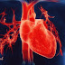 كيفية الوقاية من امراض القلب How to prevent heart disease كيفية الوقاية من امراض القلب How to prevent heart disease