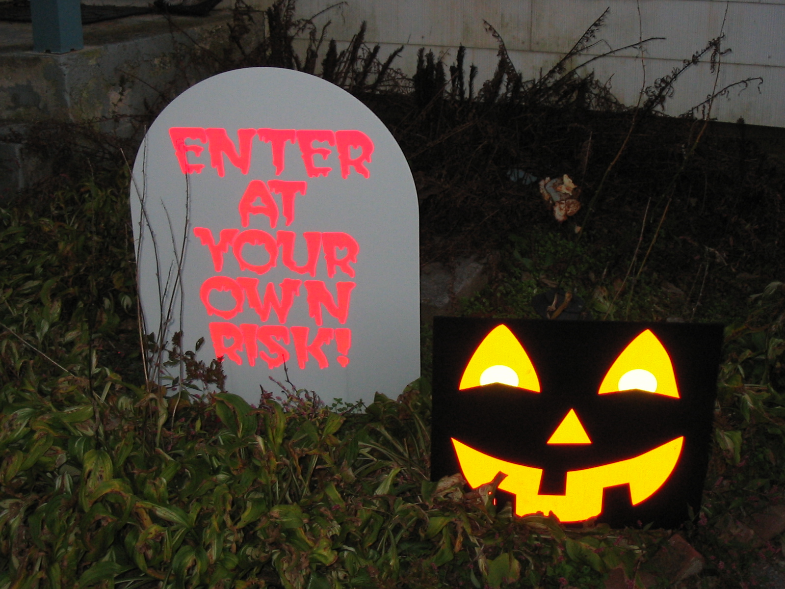 The Halloween Queen Reflective Light Up Halloween Signs