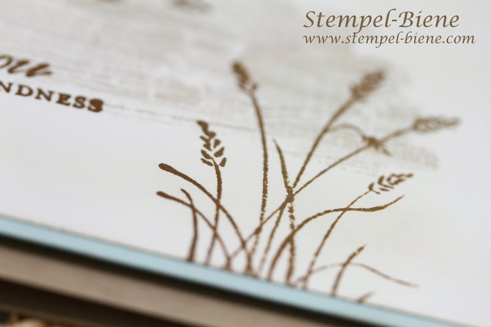 Stampin Up Wetlands, Farbkarton Flüsterweiß, Grußkarte basteln, Stampin‘ Up Stempelparty, Stempel-biene, Stampin‘ Write Marker