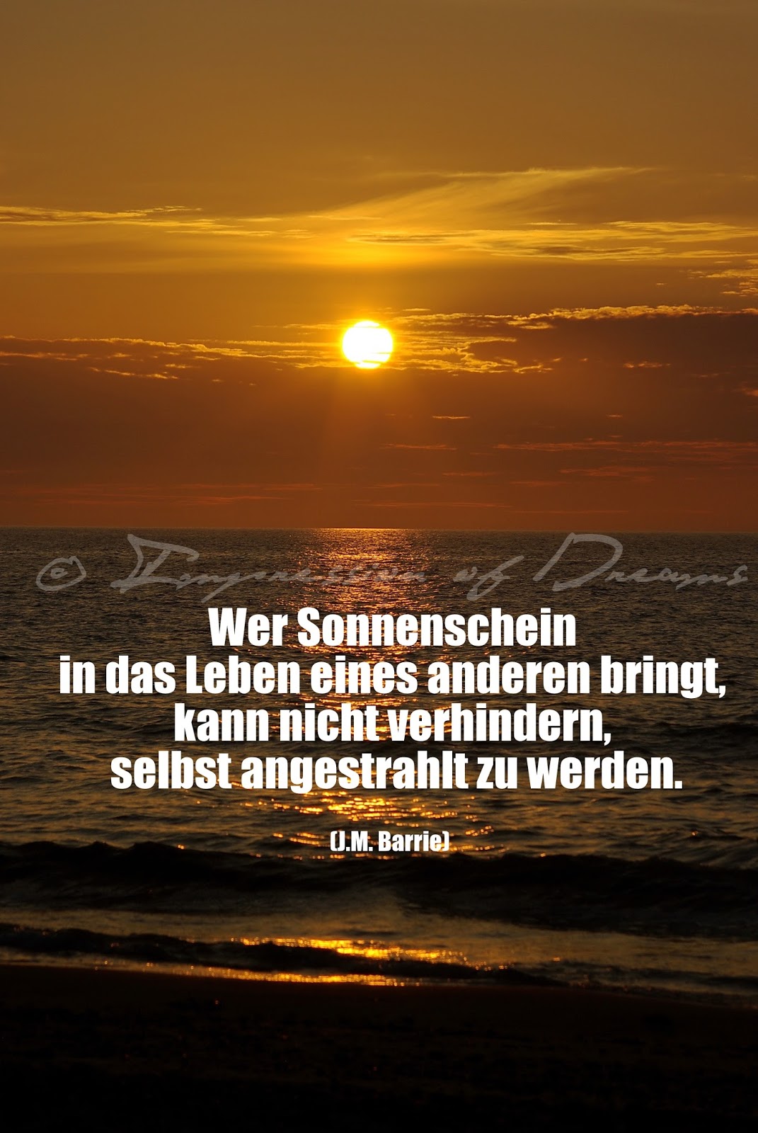 Lucciola: Spruch des Tages - 03.08.15