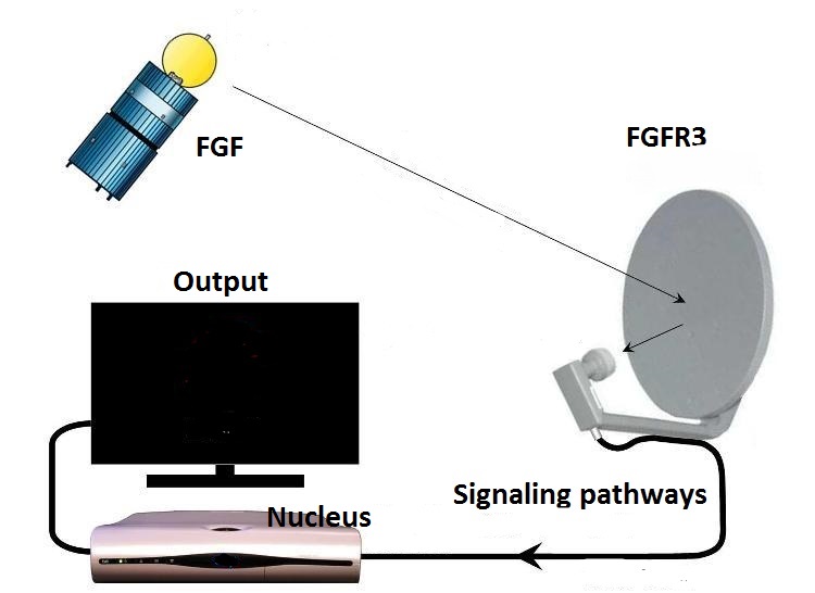 Tv Satellite Dish Parts