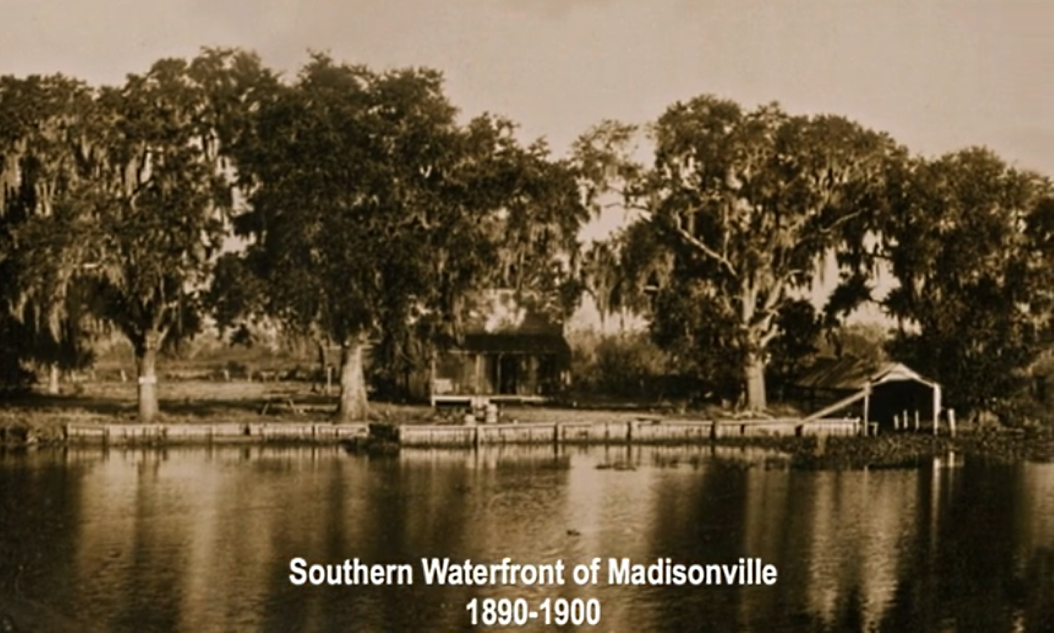 Tammany Family "Faces & Places A 200 Year Madisonville Pictorial"