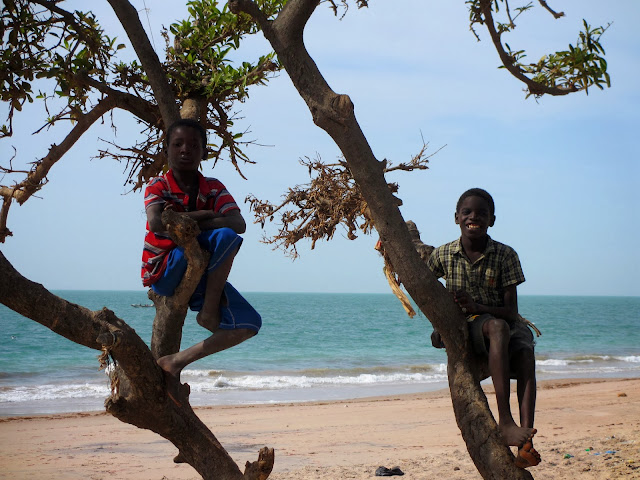 De DJIFER a JOAL-FADIOUTH, uma área deslumbrante de beleza e autenticidade na costa atlântica | Senegal