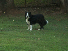 Toby (1999-2012)