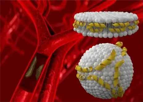 What Is Lipoprotein a and How Is It Related to Heart Disease What Is Lipoprotein a and How Is It Related to Heart Disease