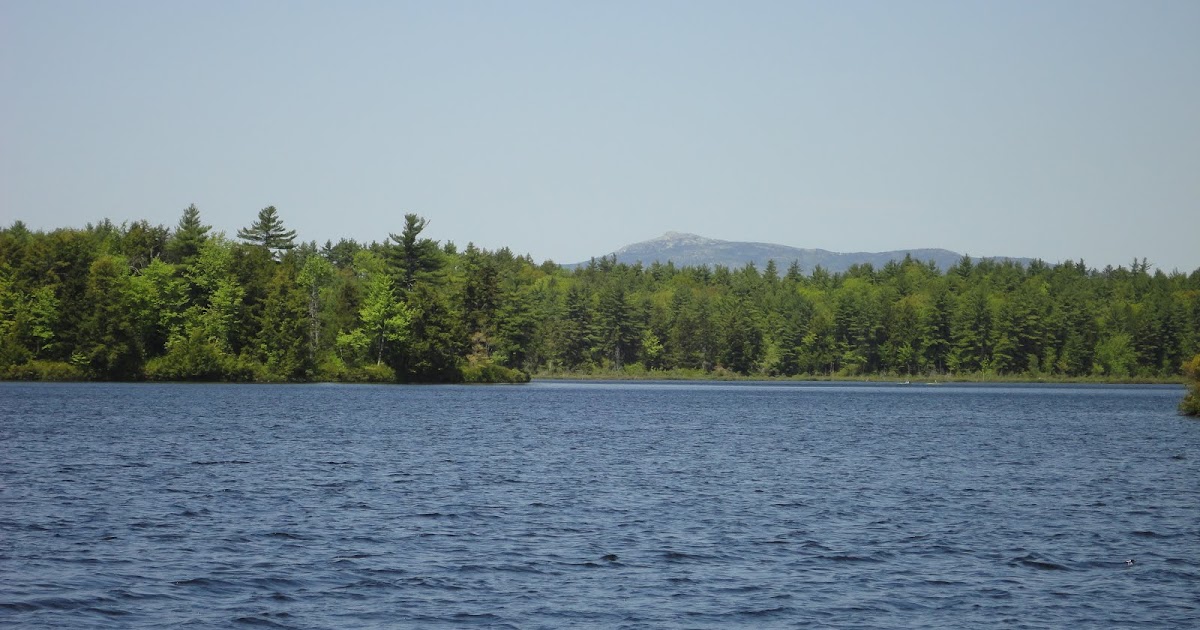 The Kayaking Bison of New Hampshire Hubbard Pond Rindge, NH