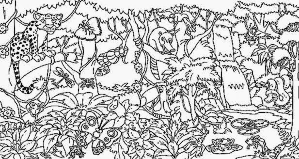 rainforest printable coloring pages - photo #2