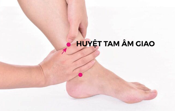Huyệt tam âm giao Huyệt tam âm giao