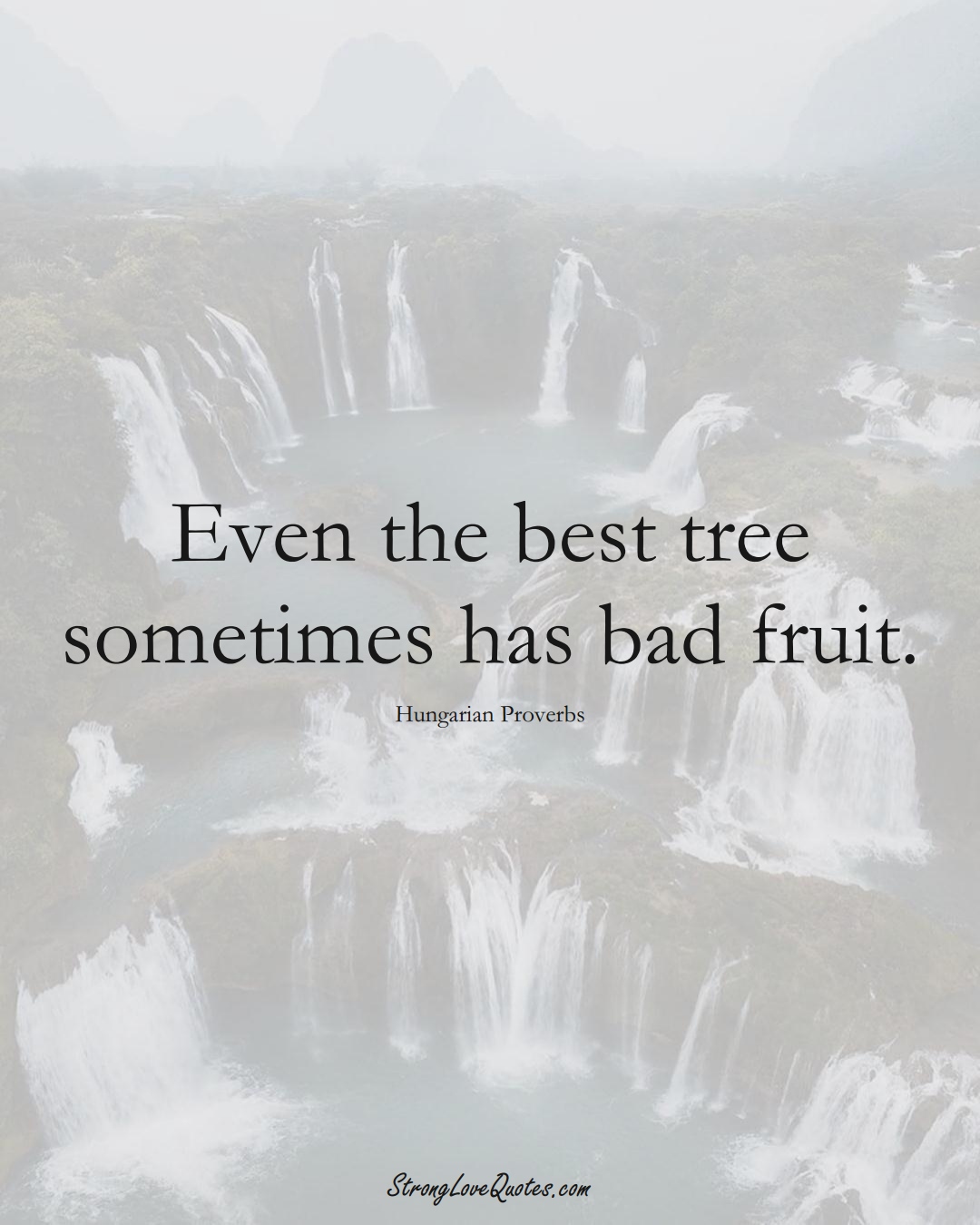 Even the best tree sometimes has bad fruit. (Hungarian Sayings);  #EuropeanSayings