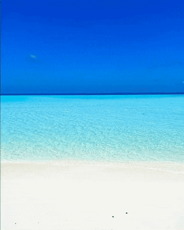 몰디브의 깨끗한 바다 - 짤티비