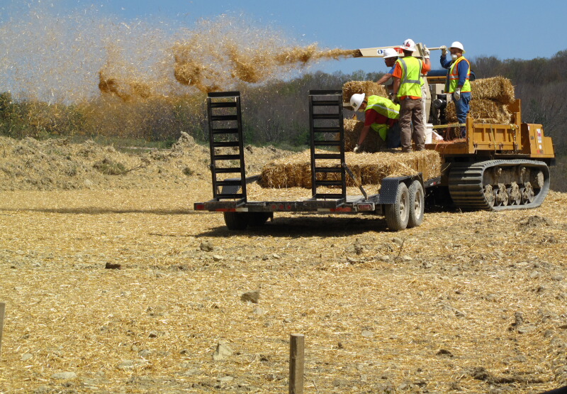 The Joyce Road Neighborhood Pipeline Construction