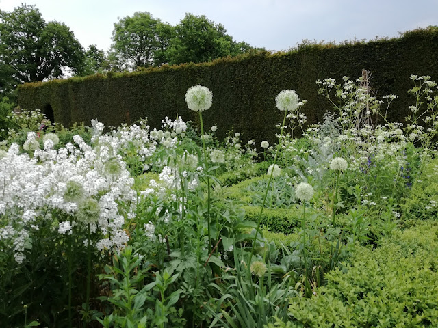 White Garden biały ogród