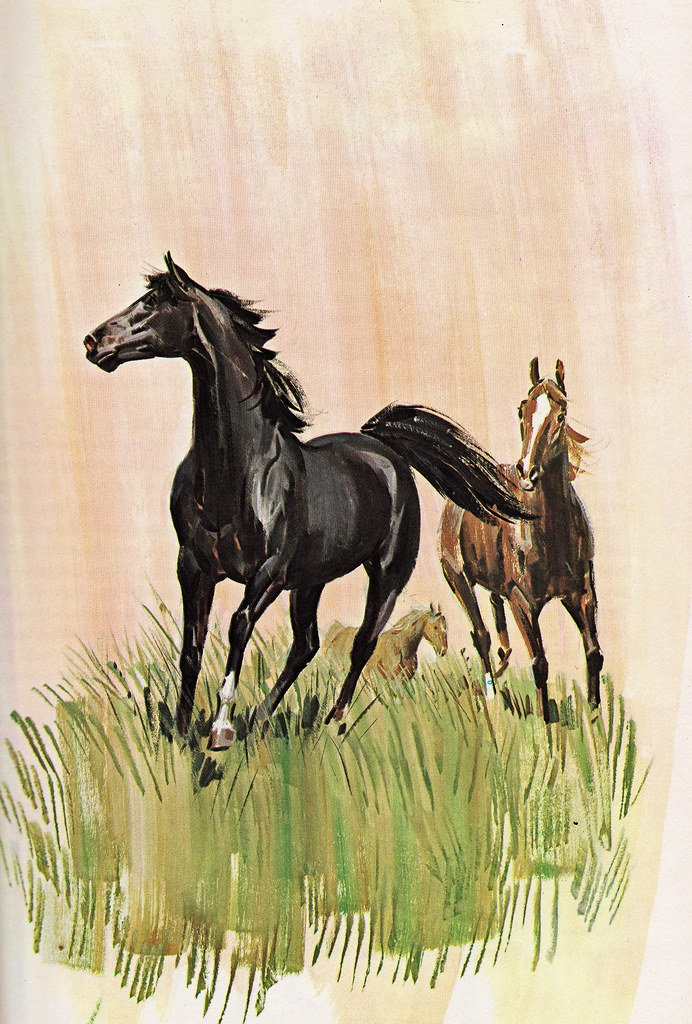 Behind the Scenes at Stuart Ng Books Sam Savitt remembering a