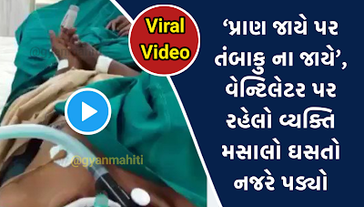 Viral%2BVideo%2Bwhygovt -