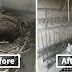 Guy Has Been Trying To Get Rid Of Pigeons For Four Years, And It Gets Funnier With Every Picture